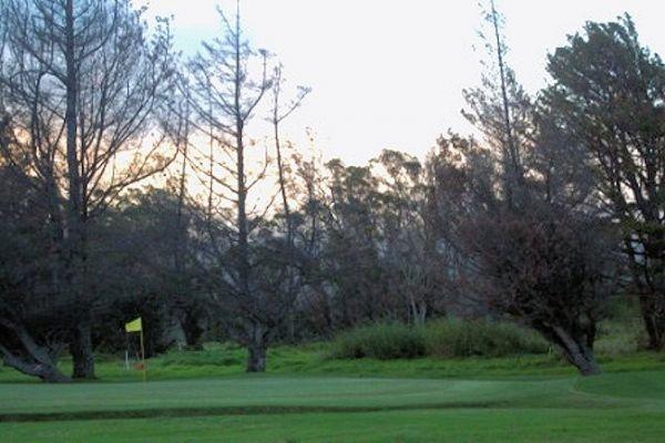 Pukeawe Place Villa Volcano Eksteriør bilde